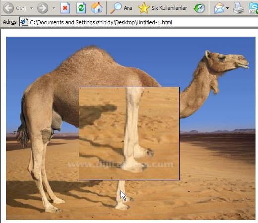 Dreamwever Yazılı sorusu