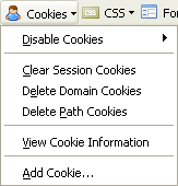 Measurelt Ve Web Developer