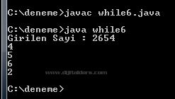 Do While, While, For D&ouml;ng&uuml;leri, For-break;